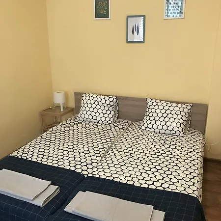 Tzar Asen Center *